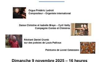 Affiche © Cyril Vailly