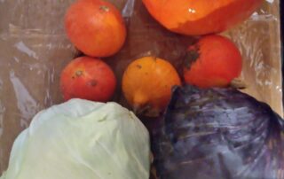 Gîte Le Turquoise © Gîtes de France