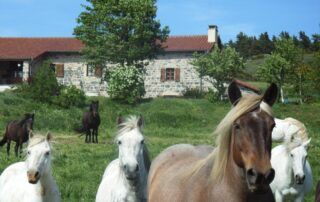 Entdeckung des Lehrbauernhofs Montmoulard