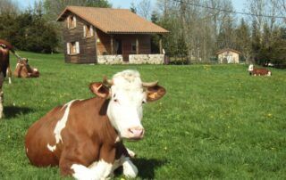 Entdeckung des Lehrbauernhofs Montmoulard