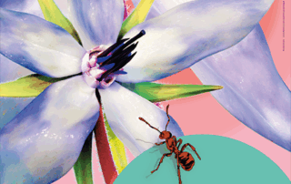 Graines : une exposition qui fait pousser la curiosité_Saint-Étienne