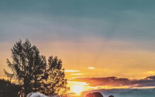 Week-end Equit’ Détente_Mazan-l’Abbaye © Pexel eberhard grossgasteiger