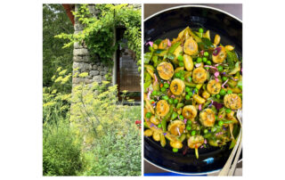 Auberge La Bola © LaBola