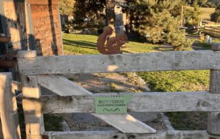 La Roulotte du Pradel_Les Estables © Cathy