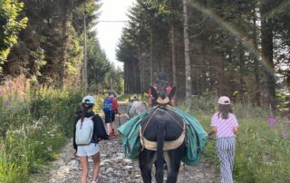 Gîte La Porte du Chardonnet_Les Estables © Cathy