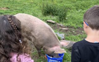 Atelier petit fermier_Les Estables © Cathy