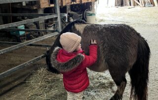 Petit soigneur de poneys_Les Estables © Cathy