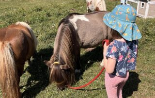 Promenade à  poney_Les Estables © Cathy
