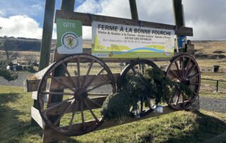 Promenade à  poney_Les Estables © Cathy