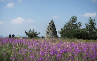 Œuvre La Tour à eau de Gilles Clément – Le Partage des Eaux