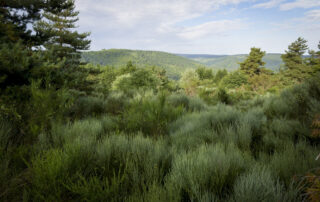 La Planque_Cros-de-Géorand © La Planque