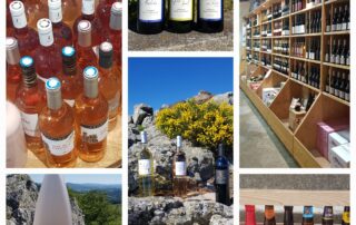 Cave à vins – Gandon © Gandon