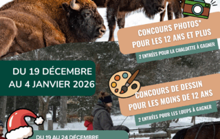 Réserve des Bisons d’Europe