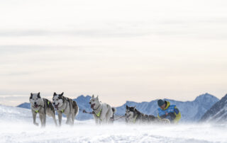 La Grande Odyssée Royal Canin – Bessans © Benoit Diacre