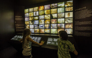 Dans la Galerie de l’Aurignacien © Franck Charton - Grotte Chauvet 2 Ardèche