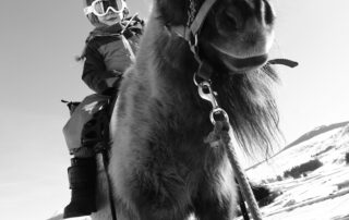 balade poney © Les Estables