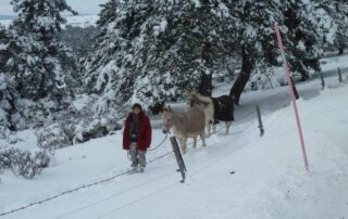 Gîte d&rsquo;étape  » La Louisette «  © Lucile AUBRY