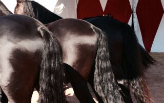 La couleur des choses ©  Magali Dougados