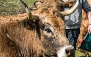 L&rsquo;Etable de Nicolas – Maison Vernet