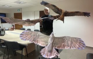 Animations ornithologiques