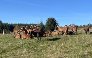 Ferme Sagne Rousseyre_Lanarce © Muti Sandra
