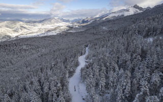 Presse-LGO-2023-19.01.23-Benoit-Diacre-9 (1).jpg © Benoit Diacre