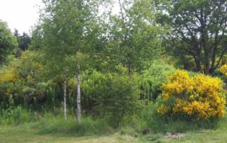 Gîte des Tranchouses : La Grange © RB