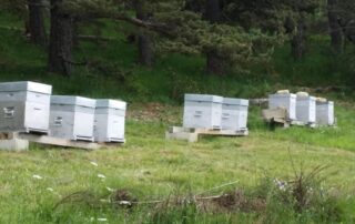 Gîte des Tranchouses : L&rsquo;Oustal © RB