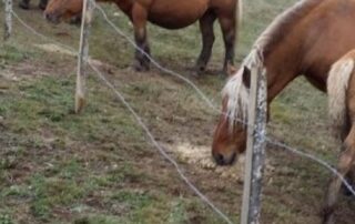 Gîte des Tranchouses : L&rsquo;Oustal © RB