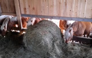 Gîte des Tranchouses : L&rsquo;Oustal © RB