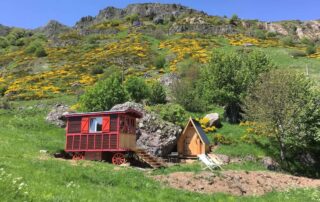 Roulotte en bois dans un écrin de nature