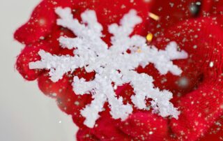 Marché hivernal_Saint-Étienne-de-Lugdarès