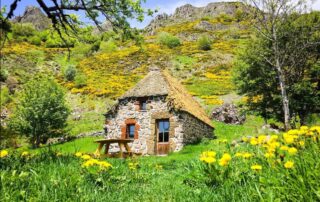 Gîte Chaumière dans un écrin de nature