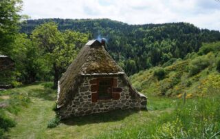 Gîte Chaumière dans un écrin de nature_Borée © G.Riou