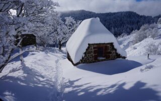Gîte Chaumière dans un écrin de nature_Borée © G.Riou