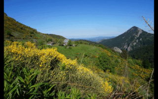 Gîte Chaumière dans un écrin de nature_Borée © G.Riou