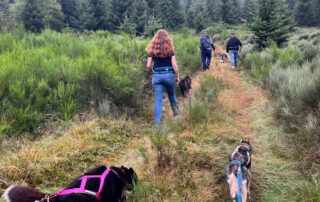 Cani-rando et baptême Kart avec Artik Basterds