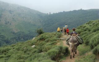 Balade et randonnée avec un âne – Le Mas des ânes © Le Mas des ânes