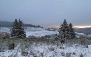 Gîte du Piefaud © Ferme du Piefaud