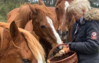 Gîte Le Montadou © Le Montadou