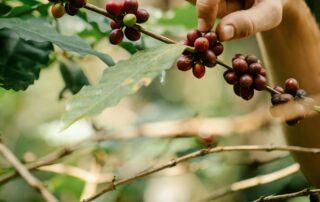 Apéro sauvage – Animation Nature