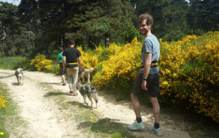Cani-rando – Animation Nature