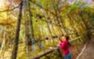 Le vallon du Villaret_Bagnols-les-Bains © Vallon du Villaret