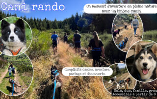 Cani-rando  avec Artik Basterds © @artikbasterds