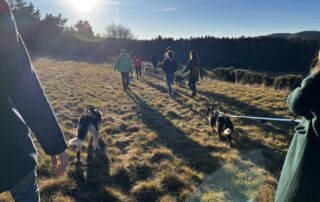 Cani-rando  avec Artik Basterds © @artikbasterds