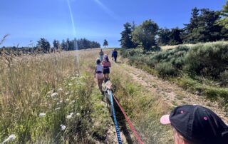 Cani-rando  avec Artik Basterds © @artikbasterds