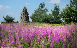 Œuvre La Tour à eau de Gilles Clément – Le Partage des Eaux