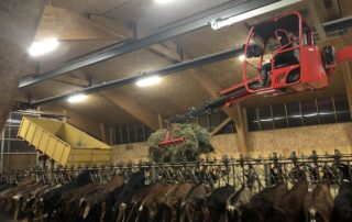 la griffe à foin © Montmoulard