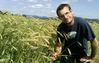 nos céréales © Montmoulard