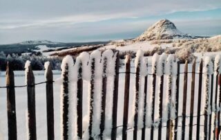 Autour de nous!!! © Céline Gounon